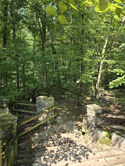Campground 9