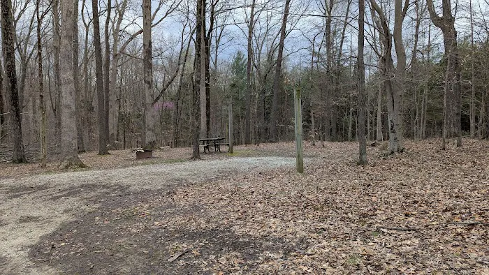Hoosier National Forest Campground 8