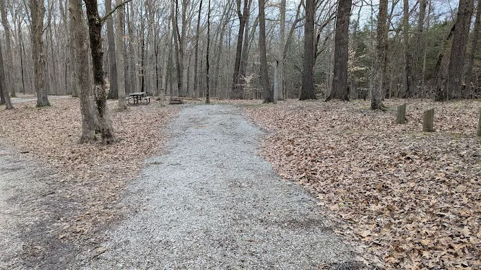 Hoosier National Forest Campground 10