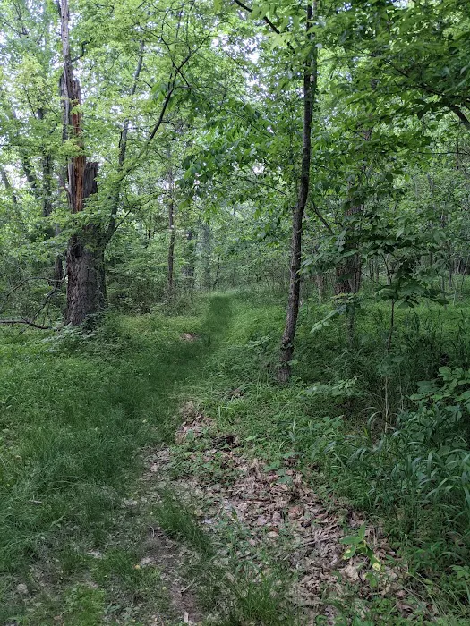 Gobbler's Run Campground 6