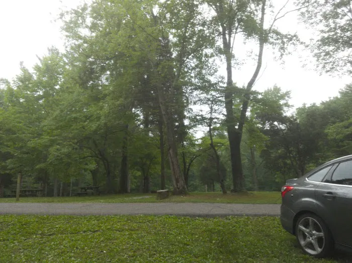 Gobbler's Run Campground 3