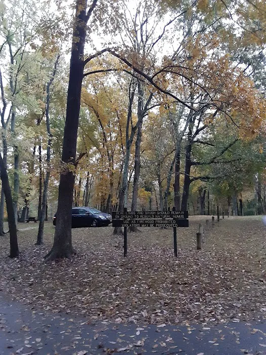 Gobbler's Run Campground 4
