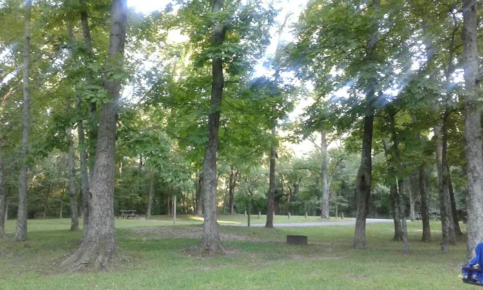 Gobbler's Run Campground 8