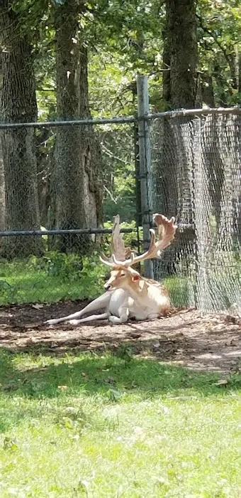 Safari RV Park 5
