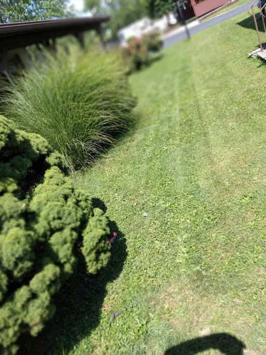 Dutch Hollow Village 8