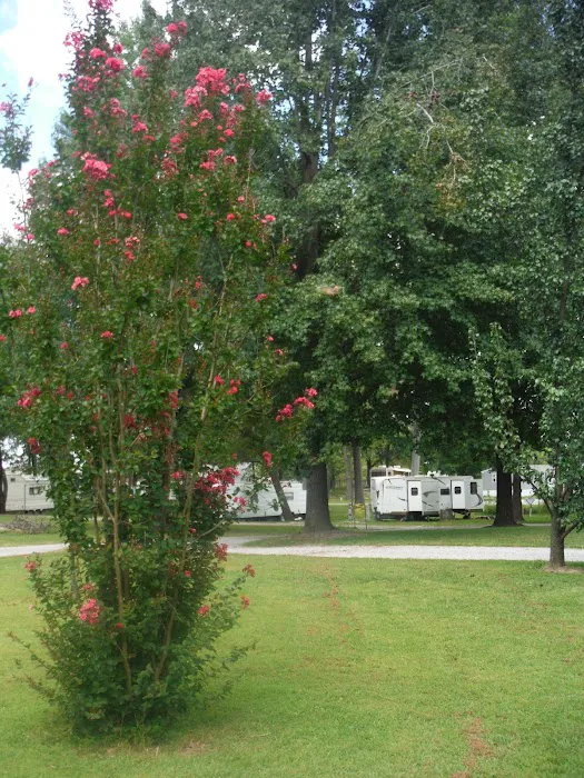 Old Bates Campground 9