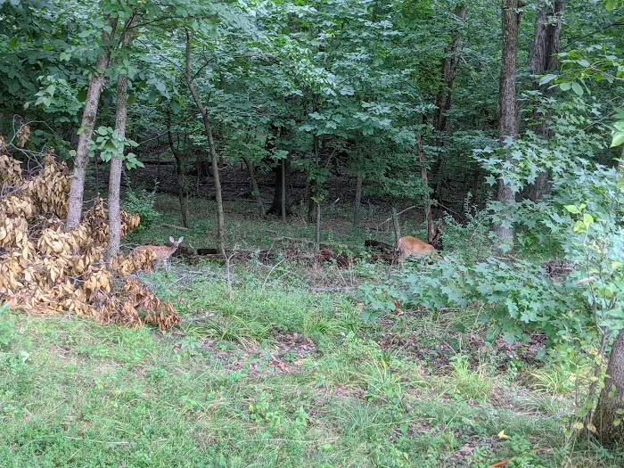 South Marcum Recreational Area 8