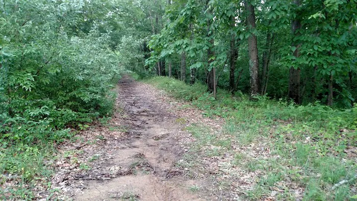Beaver Lodge 10