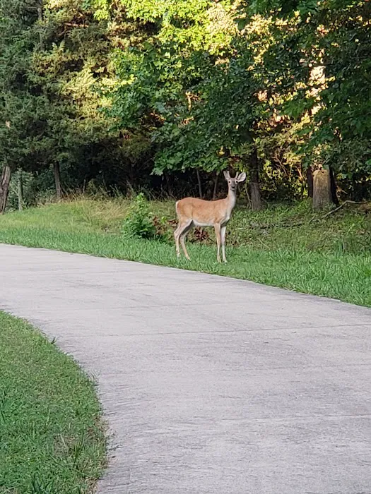 South Marcum Campground 3