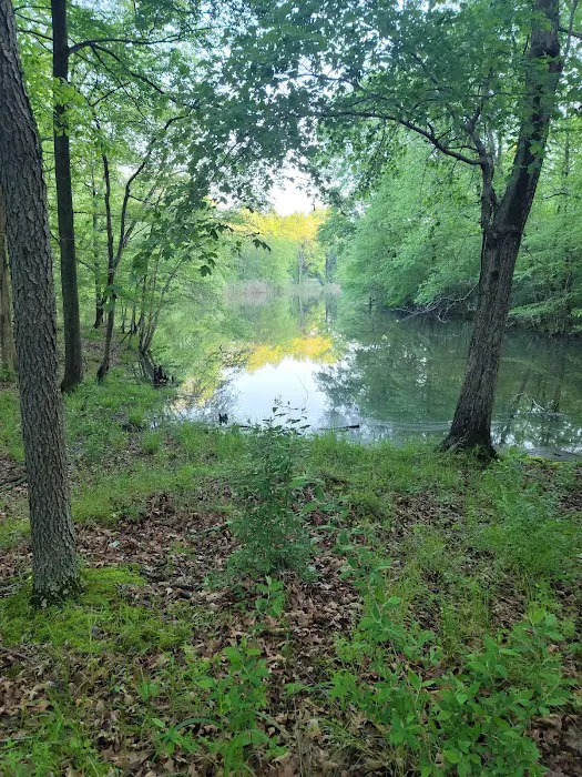 South Marcum Campground 8