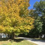 Tannehill Pointe Mobile Home Park