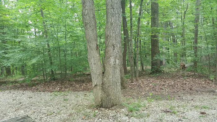 White Oak Loop 6