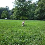 Blackwell Horse Camp