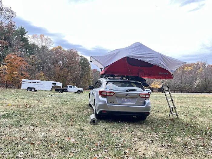 Blackwell Horse Camp 4