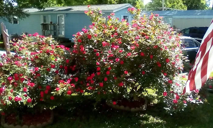 Homestead Mobile Home Park 8