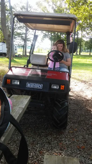 Moose Park Campground 1