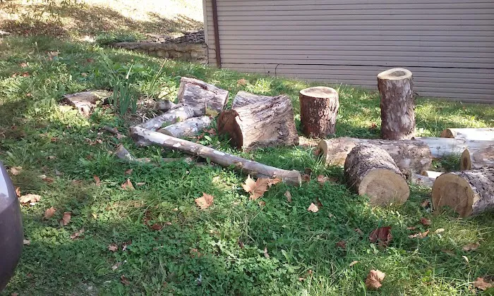 Elephant Hill Mobile Home Park 4