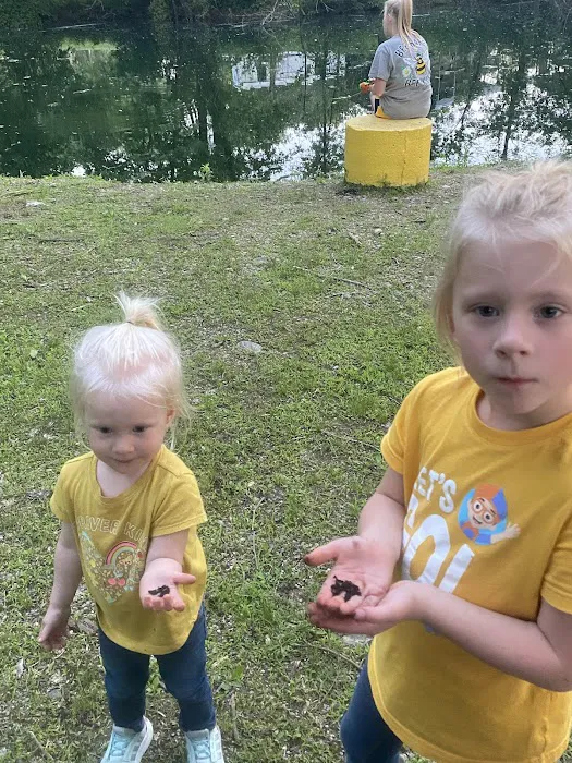 Robinson's Whitewater Campground 10