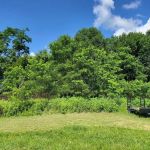 Sugar Maple Grove Campground