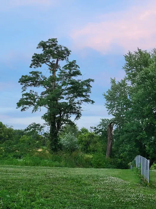 Sugar Maple Grove Campground 4
