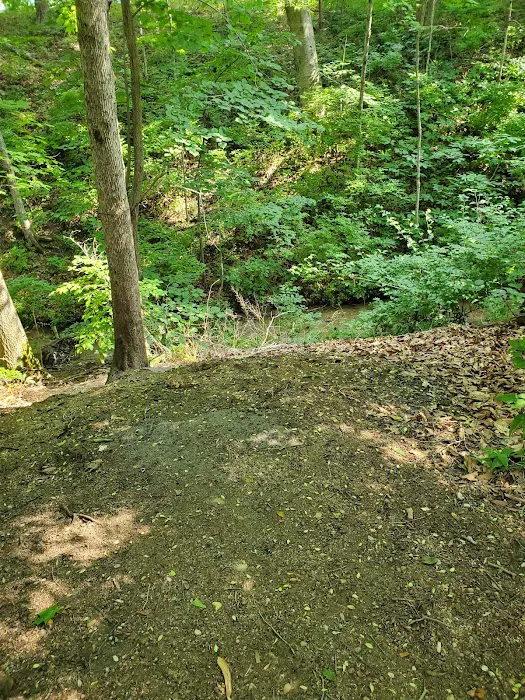 Campground 4
