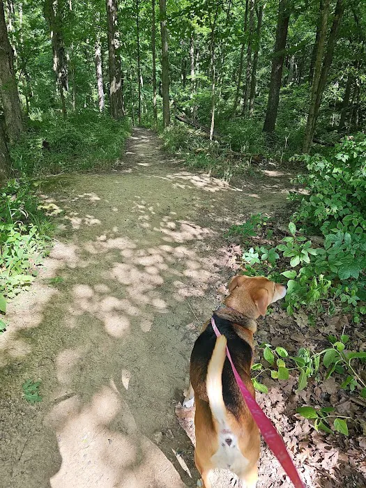 Quakertown Campground 10