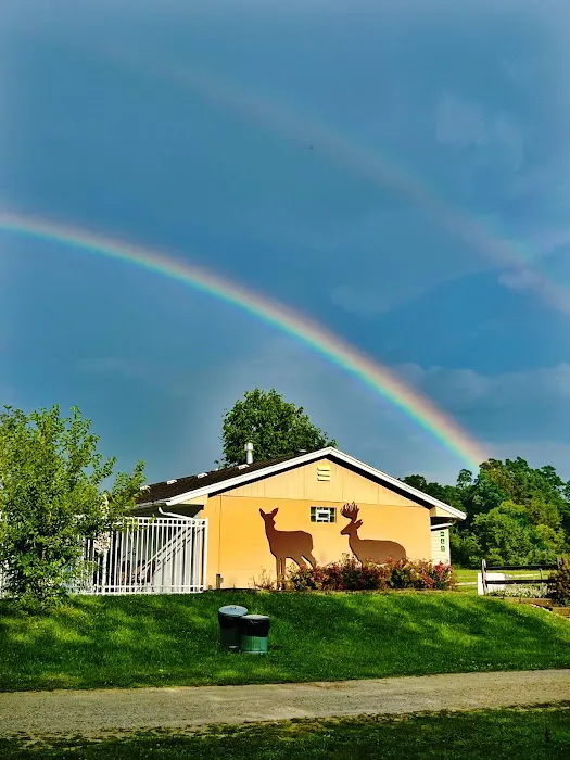 Deer Ridge Camping Resort 5