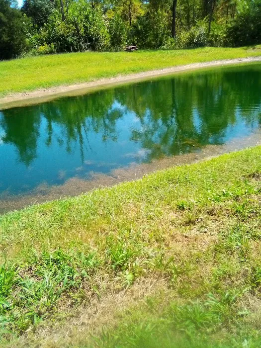 Archway Campground 5