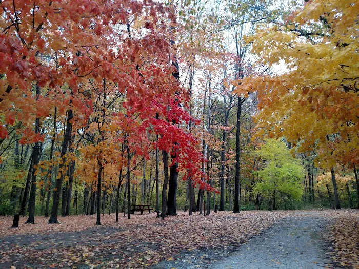 Hidden Paradise Campground 9
