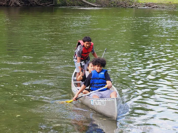 Cedar Springs Camp 8