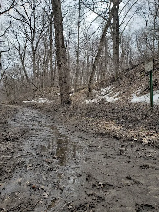 Cedar Bridge Park 3
