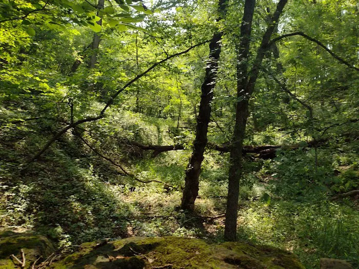 Pine Lake State Park Campground 3