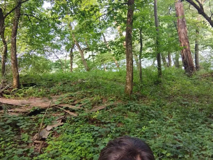 Pine Lake State Park Campground 6