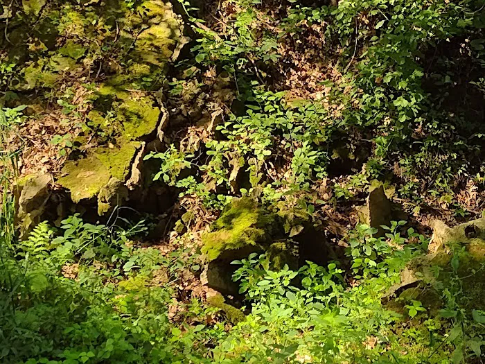 Pine Lake State Park Campground 10