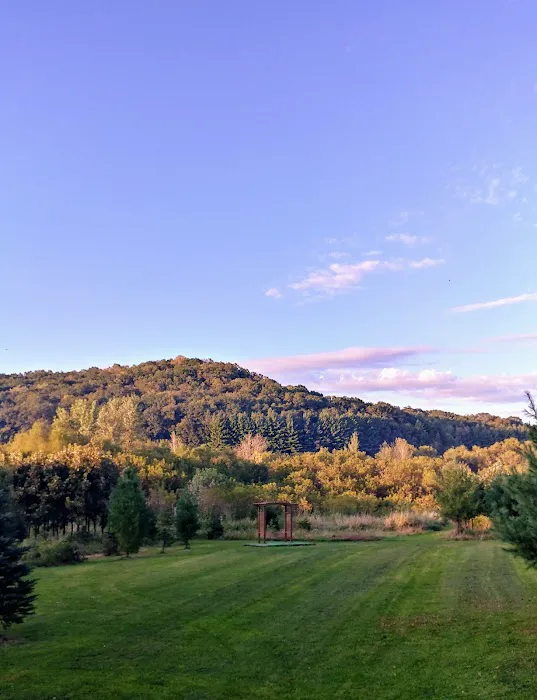 Alana Springs Campground 6