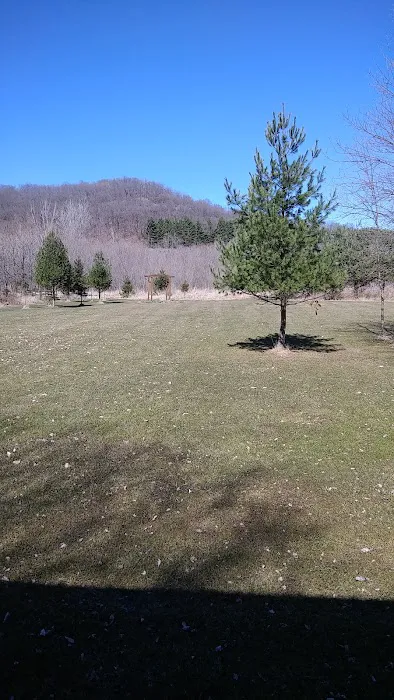 Alana Springs Campground 10