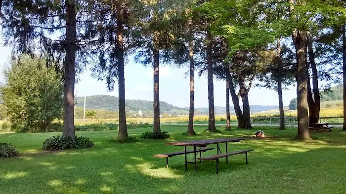 Alana Springs Campground 7