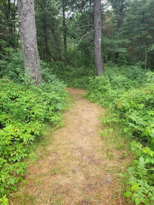 Pine View Campground 10