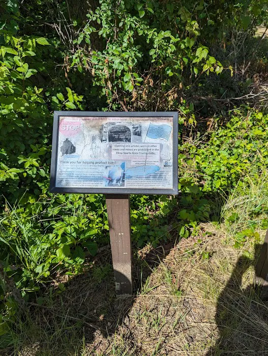 Sparta DNR Campground 7