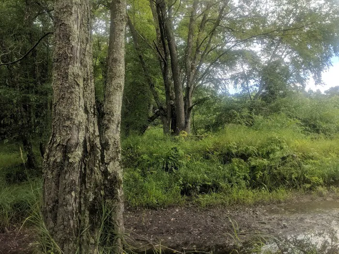 East Fork campground 5