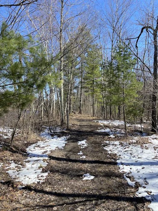 East Fork campground 8