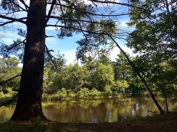East Fork campground 9
