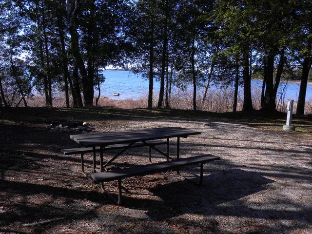 Weborg Point Campground 6