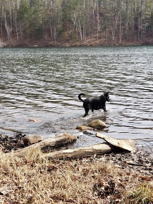 Boot Lake Campground 7