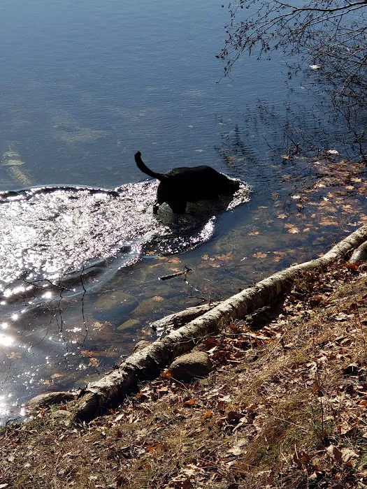 Boot Lake Campground 8