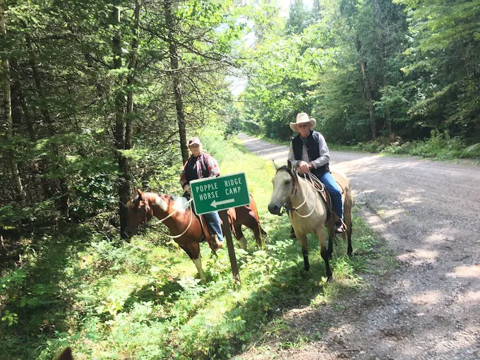 Popple Ridge Horse Campground 2