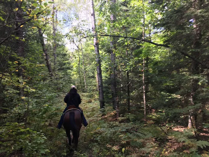 Popple Ridge Horse Campground 1