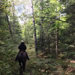 Popple Ridge Horse Campground