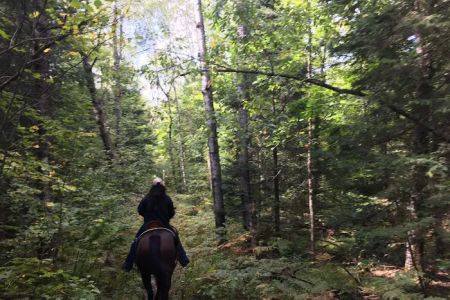 Popple Ridge Horse Campground
