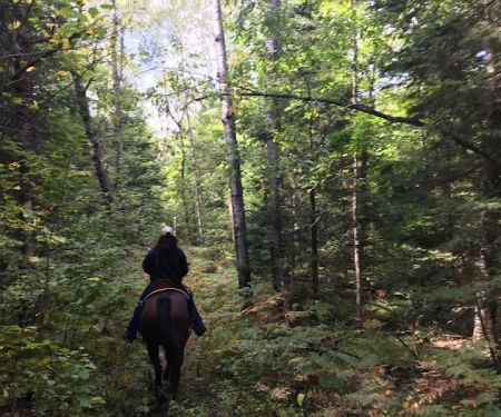 Popple Ridge Horse Campground